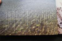 7　森野美咲写真集　9月のクロ猫