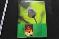 7　神保美喜写真集　太陽伝説