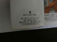 ８　山口美和写真集　グリーンドア文庫写真集