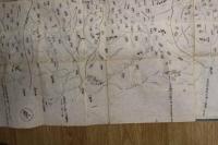 5　5　改正和泉国大絵図　木版墨刷　約56×141㎝　江戸後期頃刊