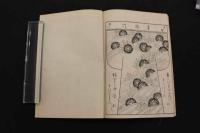 5　5　百首歌入名所雛形　小岩喜代親　木版墨刷　100図　全2冊