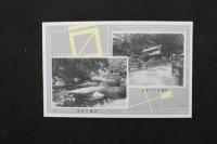 5 3　洛西　愛宕名所絵端書　清瀧ますや　4枚　タトウ付　戦前　古写真　古文書