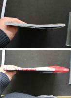 7　Palm Tree　池内彩写真集