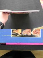 7　美少女紀行　Vol.4　東欧特別編集