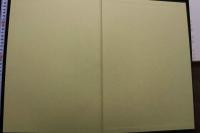 7　艶姿女図鑑　第弐帖　甲斐路・夏