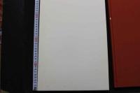 7　川人忠幸のカーマ・スートラ　スフィアの妖精　金沢文子