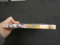 ６　荒木のぞみ＆長谷川りりな　EIGHT　グラビアイメージDVD