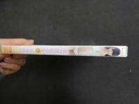 ６　全力黒髪少女　大島珠奈　グラビアイメージDVD