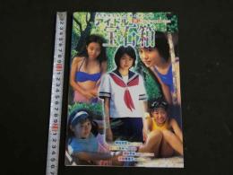 ２　アイドル宝石箱　I⋆P写真集 Vol.2　甲田美雪　大江なおみ　浅川千裕　沢田真理子