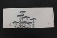 2  5　⑤複製木版画　谷文晁筆　秋の七草　重要木版保存会　アサガオ2枚　オミナエシ2枚　フジバカマ1枚　3種　5枚