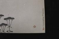 2  5　⑤複製木版画　谷文晁筆　秋の七草　重要木版保存会　アサガオ2枚　オミナエシ2枚　フジバカマ1枚　3種　5枚