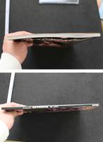 7　Sentimental　星野沙里奈写真集