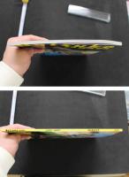 7　写真集　沢田夏子