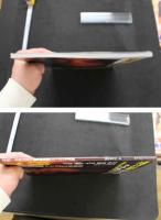 7　女豹　奇妙な果実　津野田薫ファースト写真集