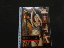 ８　ビニ本　愛の下僕