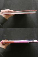 ８　盛内愛子写真集　14歳のみみながうさぎ