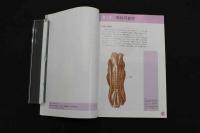 5　2  ビジュアルで学ぶ筋膜リリーステクニック　Volume2　ー頚部、頭部、体幹[脊柱・肋骨]ー