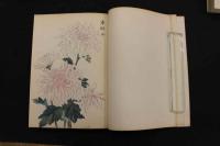 5　2  契花百菊　木版彩色刷　全3冊