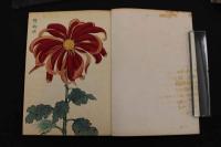 5　2  契花百菊　木版彩色刷　全3冊