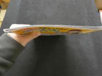 ８　インパクト　アクションカメラ特別編集　１９９５年８月号