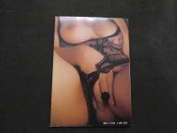 ８　悦楽ランジェリー大図鑑　バナナ通信６月号増刊　昭和６３年