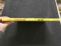 ８　水谷優衣写真集　yui17歳