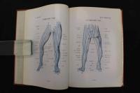 ６　5　指圧　平成19年第21刷