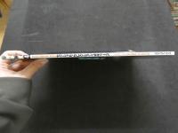 ８　Sexual Sellection Bodys　セクシャル・セレクション・ボディーズ