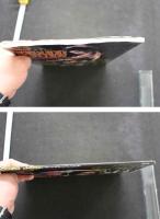 7　バウンドレディー　BOUND LADY