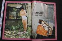 7　SMエロティック大特集決定版　SMの世界