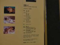 7　写真集　女優として