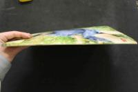 ８　ビニ本　露出