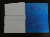 7　井上晴美写真集　LIVE