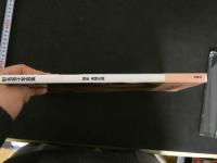 7　彩名杏子写真集　TAWAWA93