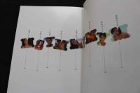 ８　野川イサム写真集　染色体２