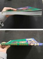 ８　野川イサム写真集　染色体２