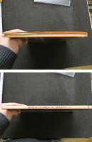 7　藤本聖名子写真集　【あぶない誘惑】