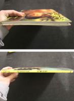 ８　南理香写真集　危険イ妹