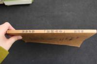 ６　2  脉診流　「子牛鍼法」臨床指南