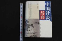 ６　2  中国針灸辞典　中文