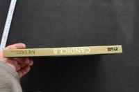 7　TOP MODELS OF METART.COM CANDICE B EDITION Skylight 2021年　英文他　洋書