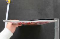 7　美少女紀行　ハンガリー編Ⅱ