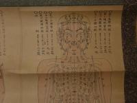 5　5　経絡図　大阪延命山鍼灸学院　木版彩色刷　約85×65㎝　