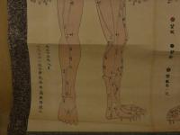 5　5　経絡図　大阪延命山鍼灸学院　木版彩色刷　約85×65㎝　