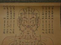 5　5　経絡図　大阪延命山鍼灸学院　木版彩色刷　約85×65㎝　