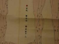 5　5　経絡図　大阪延命山鍼灸学院　木版彩色刷　約85×65㎝　