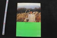 7　愛のセブンティーン