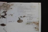 ６　2  ①　久保由利香写真集　ロマンティックリビドー