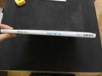 ６　2  佐野夏芽写真集　なつめ～る