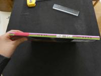 ６　2  内宮有里ファースト写真集　ari@RQ